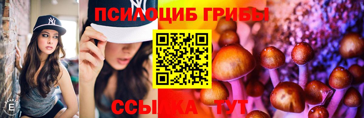 Галлюциногенные грибы Cubensis  Псилоцибиновые грибы Cubensis  Вход с VPN  Минеральные Воды 